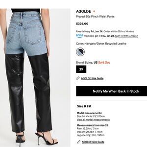 COPY - Agolde Pieced Pinch Waist Pants